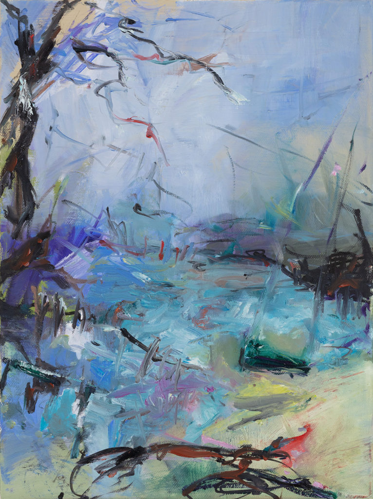 entkommen40x30cmÖl auf Leinwand2019